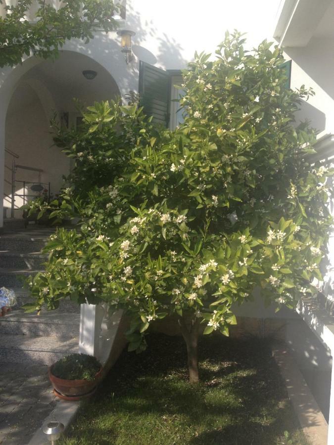 Apartmani Vukicevic Vodice Exterior foto